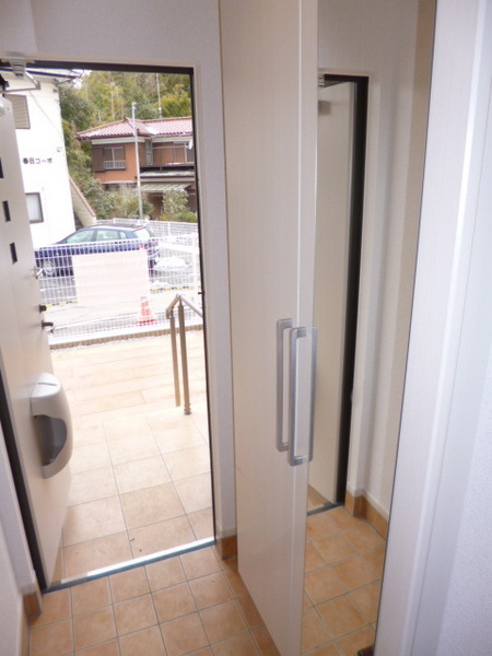 Entrance. Entrance of the full-length mirror with shoes BOX equipped