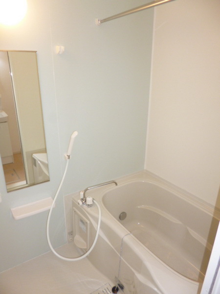 Bath. With mirror of the bath