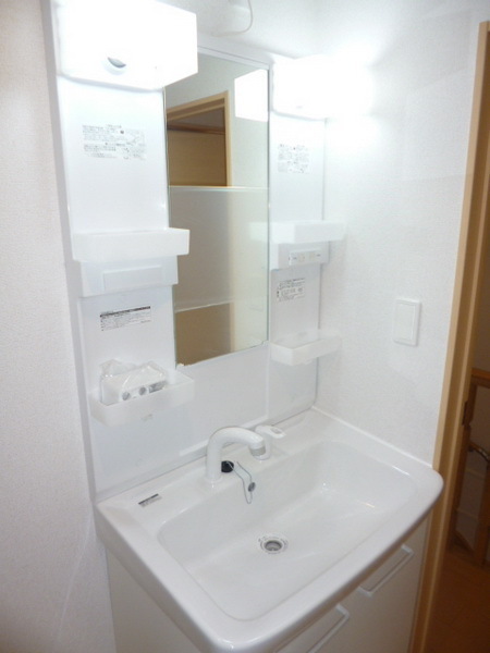 Washroom. Shampoo dresser