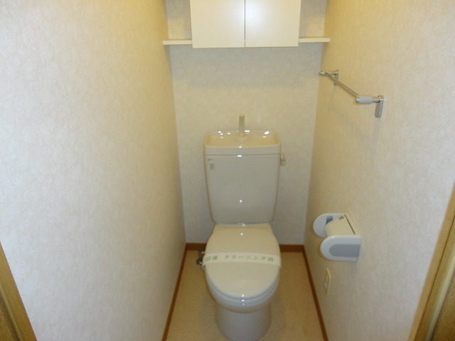 Toilet. Toilet