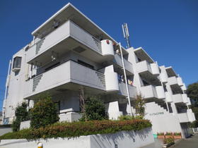 Building appearance