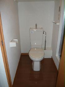 Toilet. Toilet