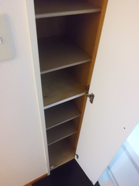 Entrance. Shoe box