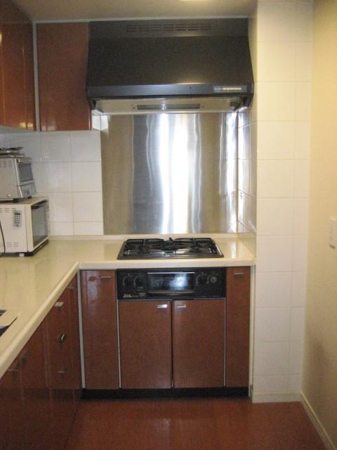 Kitchen. Indoor (11 May 2013) Shooting