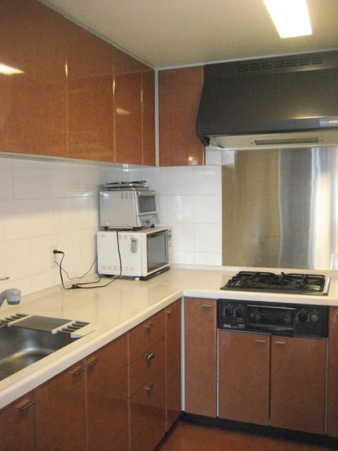 Kitchen. Indoor (2013 11) shooting