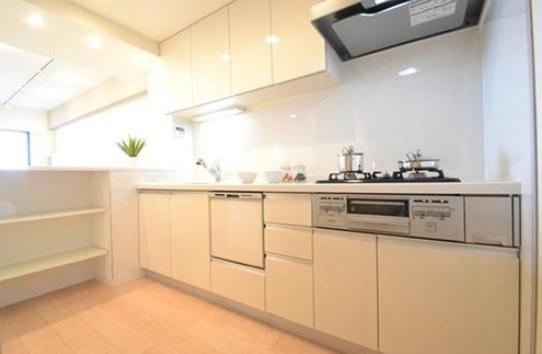 Kitchen. Indoor (10 May 2013) Shooting