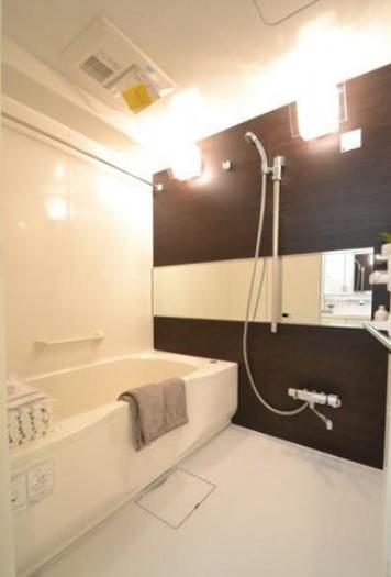 Bathroom. Indoor (10 May 2013) Shooting