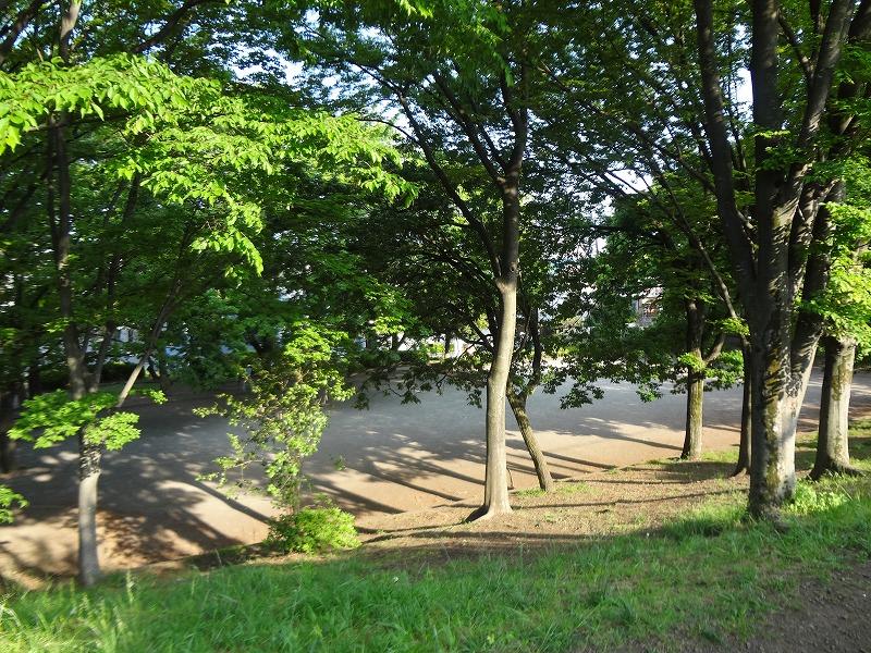 park. Kanamori 684m until the wasabi fields children's park (park)