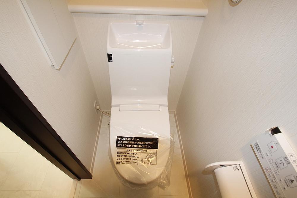 Toilet. Cleaning Easy toilet