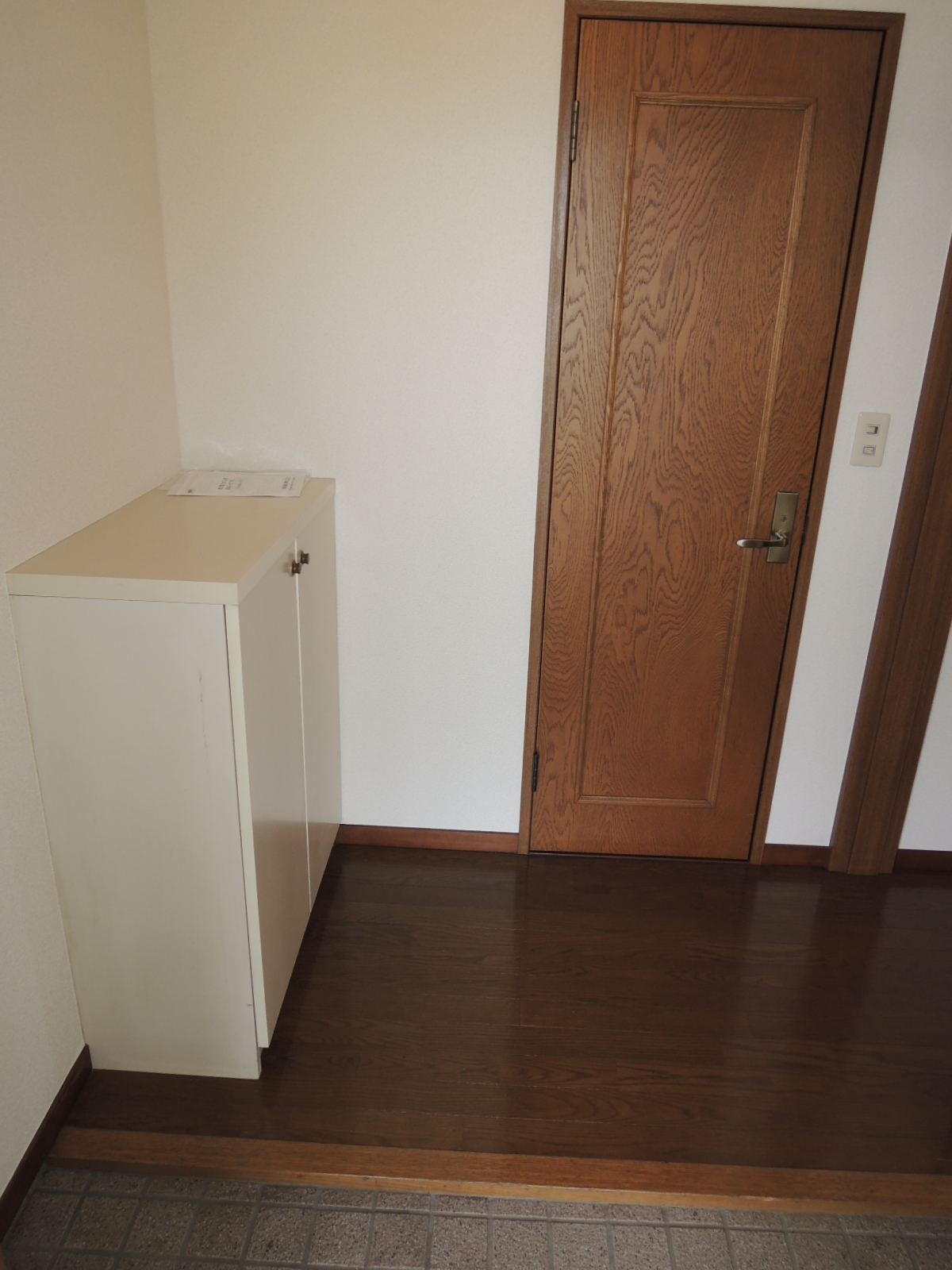 Entrance. Shoe box