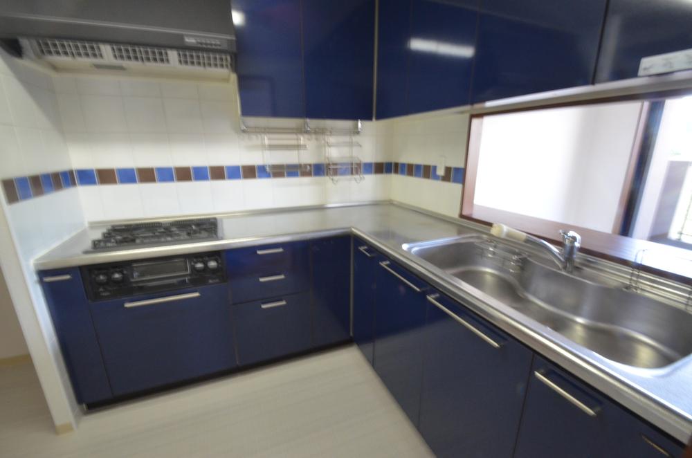 Kitchen. Indoor (11 May 2013) Shooting