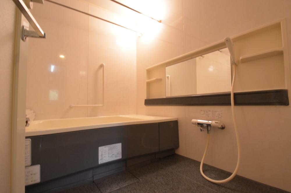 Bathroom. Indoor (11 May 2013) Shooting