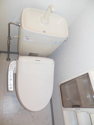 Toilet. Toilet