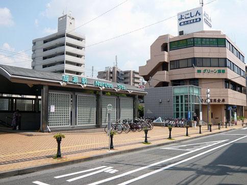 Other. Naruse Station