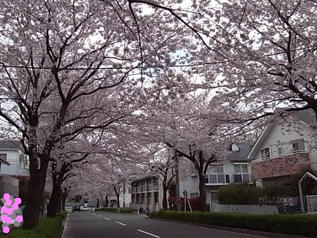 Other. Surrounding environment