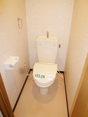 Toilet. Toilet