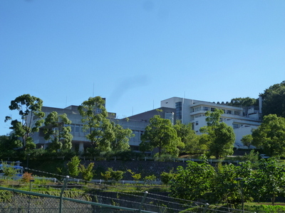 Other. 3400m until the Tama Art University (Other)