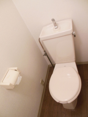 Toilet. Toilet