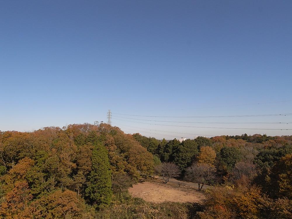 View photos from the dwelling unit. View from the balcony (January 2013) Shooting