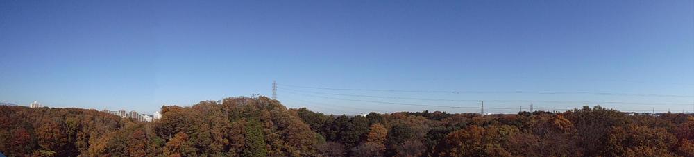 View photos from the dwelling unit. View from the balcony (January 2013) Shooting