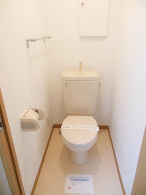 Toilet. Toilet