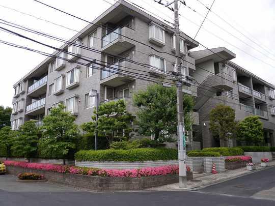 Local appearance photo