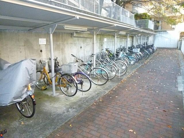 Parking lot. Bicycle-parking space