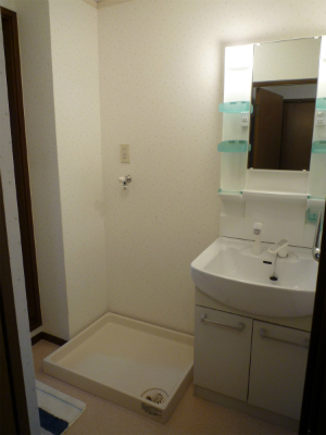 Other. Wash