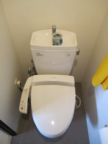 Toilet. It is very beautiful to your.