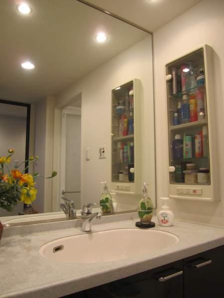 Wash basin, toilet. A large mirror, Easy-to-use wash basin.