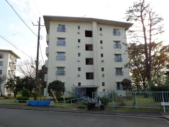 Local appearance photo. Local (11 May 2013) Shooting No. 2