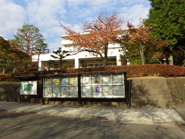 Other local. Local (11 May 2013) Shooting