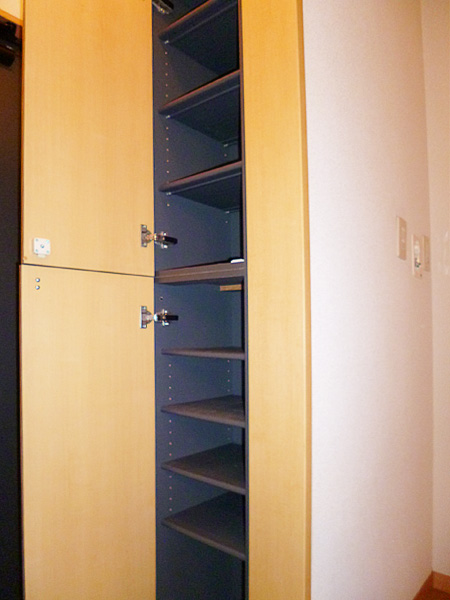 Entrance. Shoes BOX
