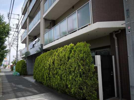 Local appearance photo