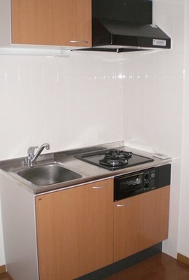 Kitchen. Grill with a system kitchen!