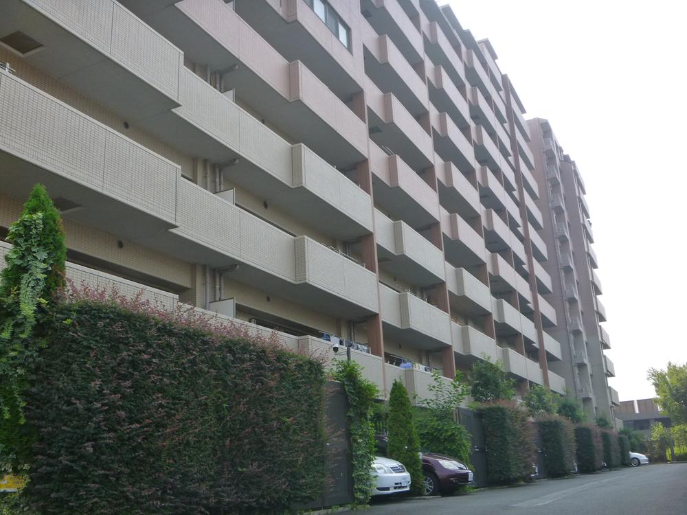 Local appearance photo. Local (September 2013) Shooting