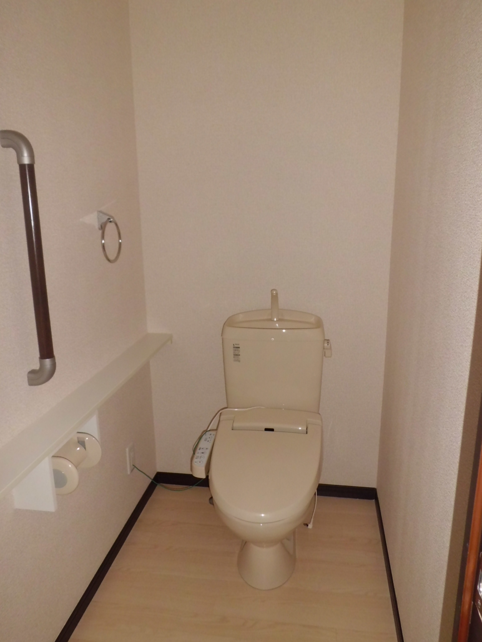 Toilet. Bidet