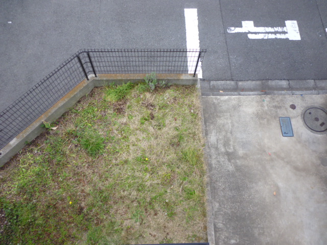 Garden. Nantei