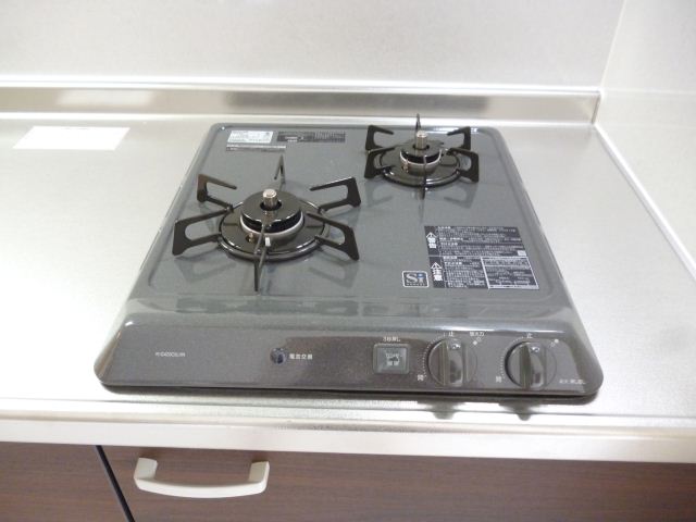 Kitchen. Cuisine in two-burner stove is also easy to make