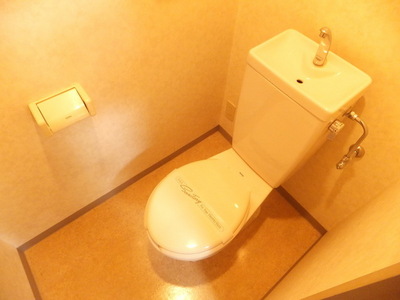Toilet. Toilet