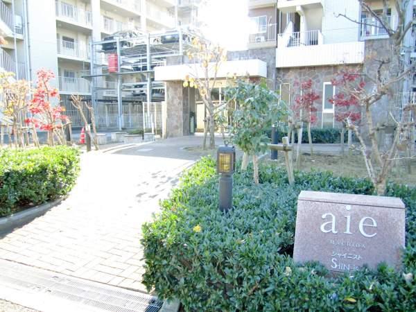 Local appearance photo