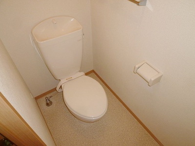 Toilet. Toilet