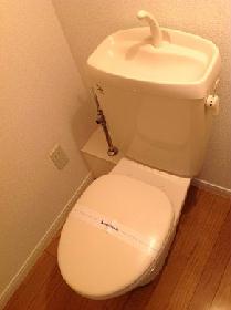 Toilet. Toilet