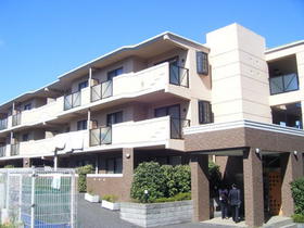 Building appearance