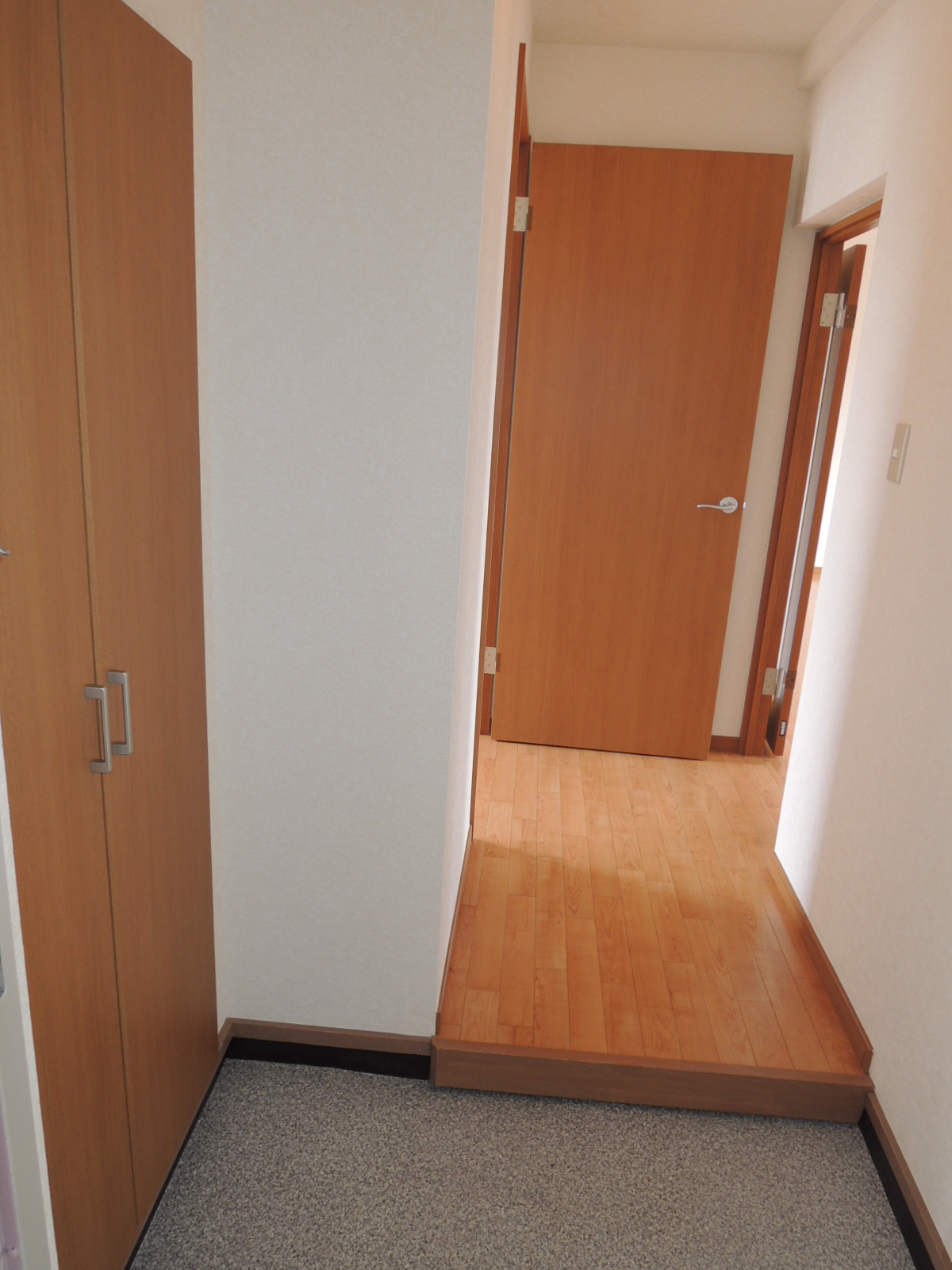 Entrance. Shoe box