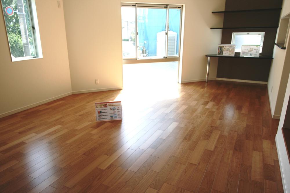 Living. Indoor (September 2013) Shooting