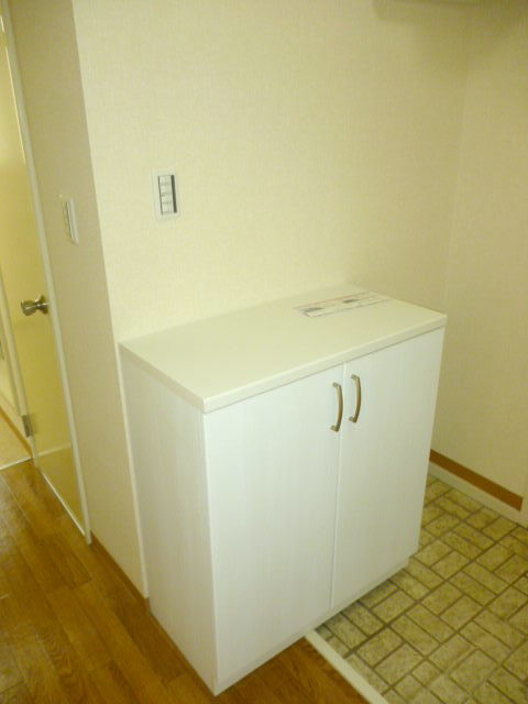Entrance. Shoe box