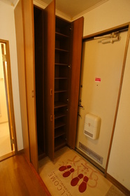 Entrance. Shoe box