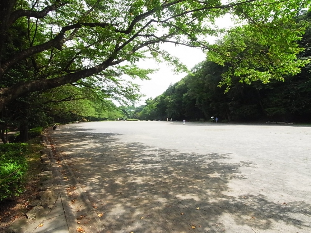 park. Seriketani to the park (park) 1065m