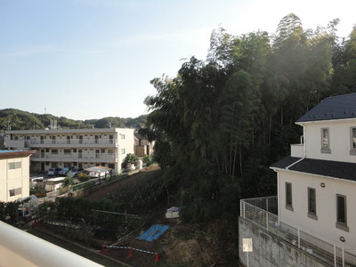 View. Green is a rich environment!